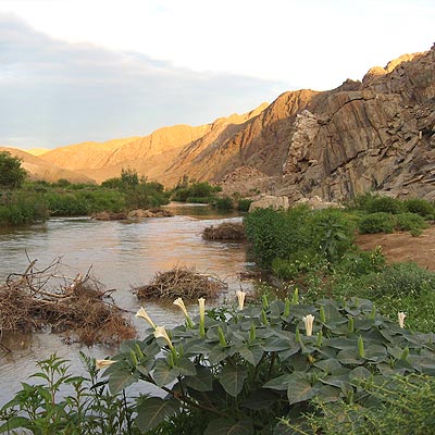Des rivieres aux deserts