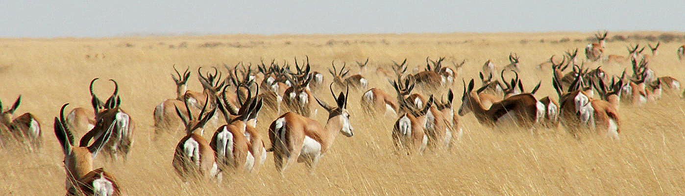 voyage individuel Namibie