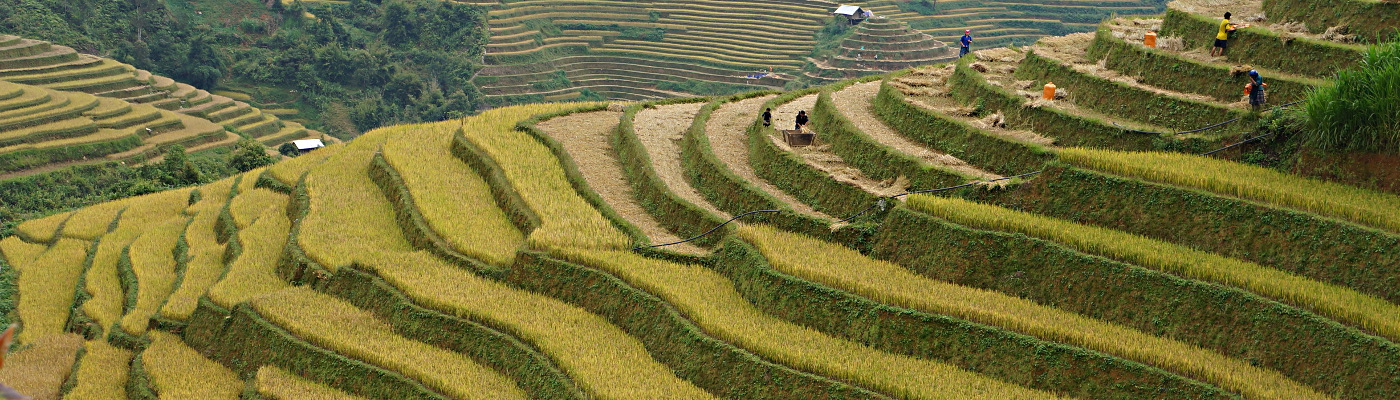 voyage individuel Vietnam
